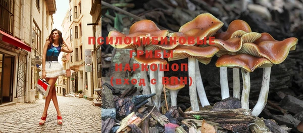 ПСИЛОЦИБИНОВЫЕ ГРИБЫ Протвино