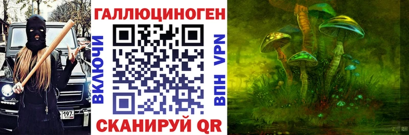 Галлюциногенные грибы GOLDEN TEACHER  наркошоп  Камбарка 